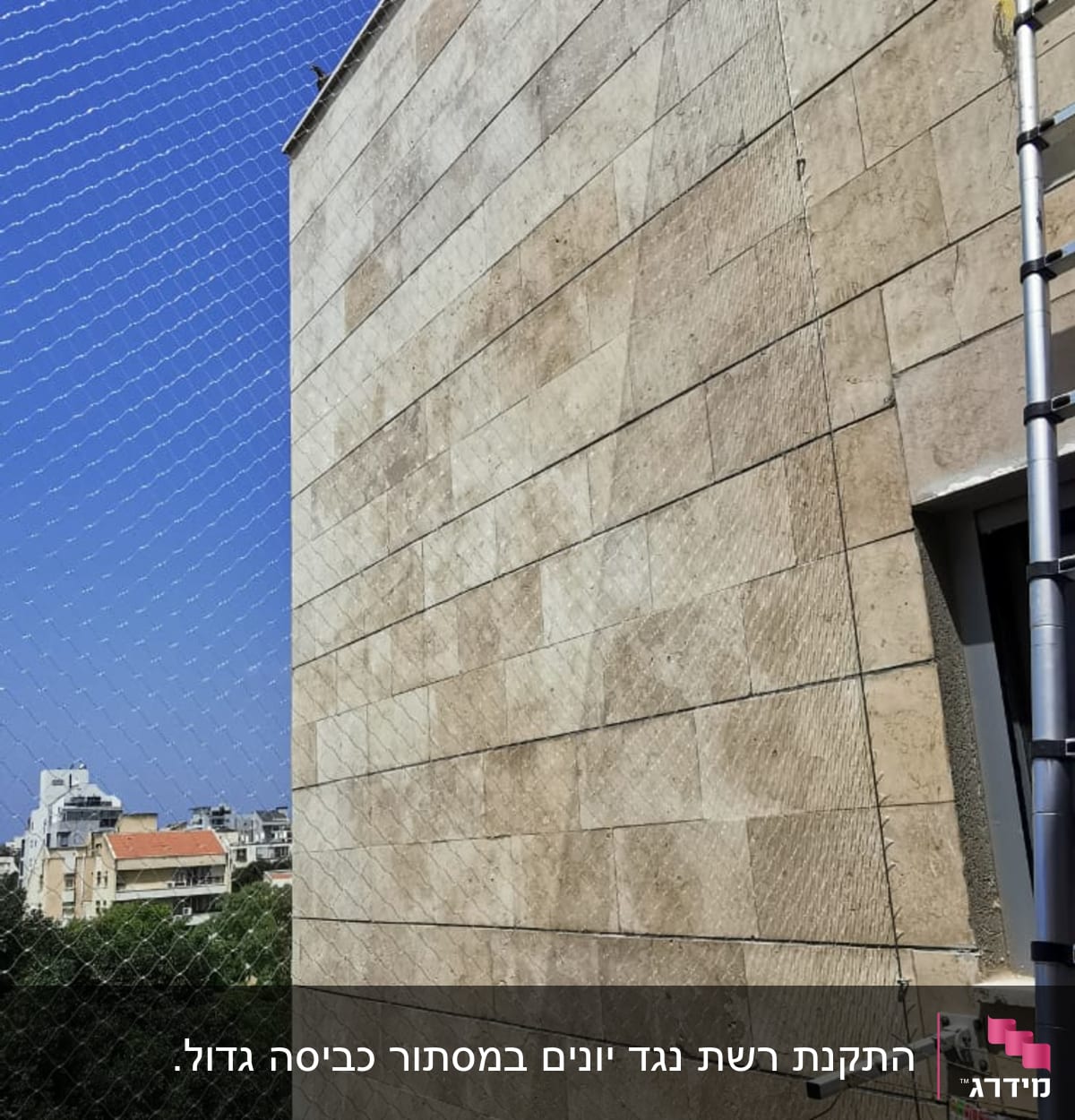 רשת למניעת כניסת יונים על קיר בניין